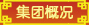 集團(tuán)概況